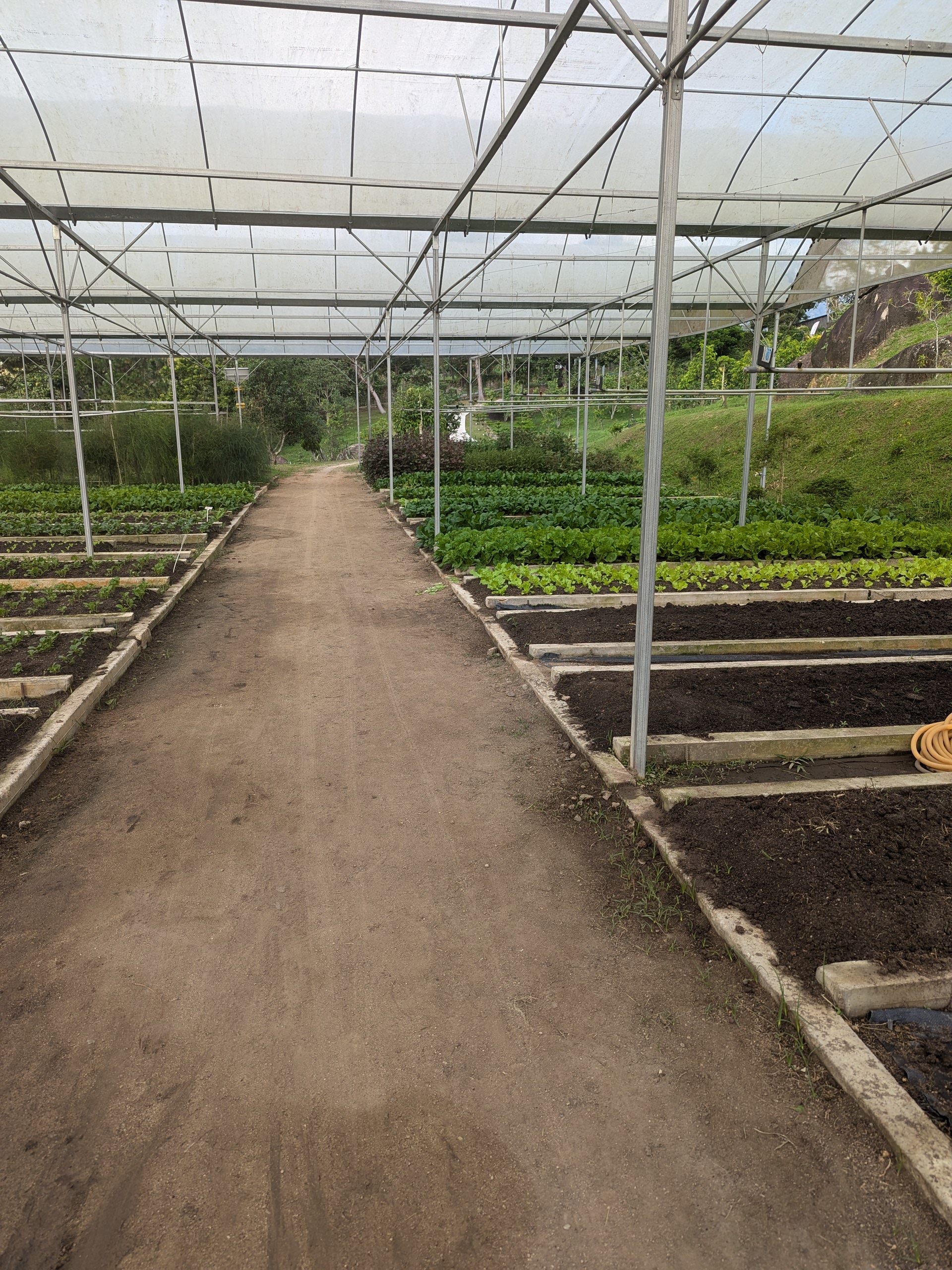 gartenarbeit2.jpg