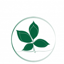 koerperwerk_logo.png