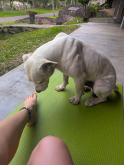 tag12_tabata_workout.jpg